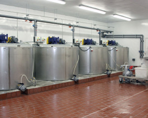 manu-3